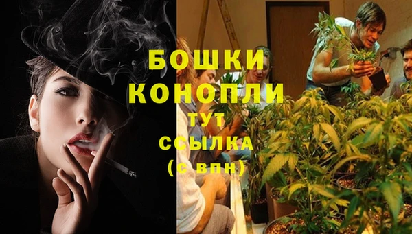 МДПВ Волосово