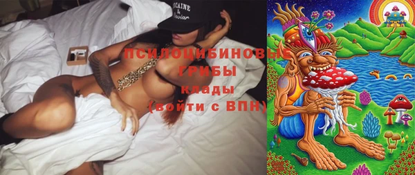 ешки Бронницы