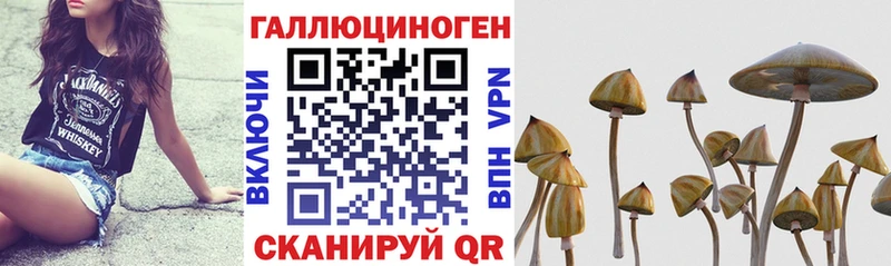 Галлюциногенные грибы мухоморы Высоковск