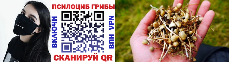 Псилоцибиновые грибы Magic Shrooms  хочу наркоту  Высоковск 